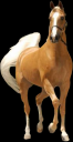 tan-horse.png