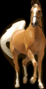 tan-horseOutline2.png