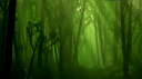 Forest.png