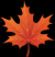 autumn_leaves_PNG3608.png