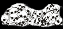 Benare_Skulls_Bones.png