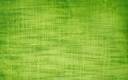 Backgrounds_Bright_green_background_035524_2.jpg