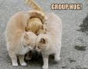 grouphug.jpg