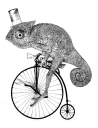 rsz_chameleon_riding_a_penny_fathering_by_coffeehouseartist-d5aopt3.png
