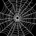 finished-spider-web-200x200.png