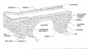 Bridge design.png
