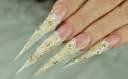 long nails.jpg