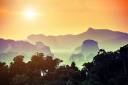 sunset-in-the-jungle-moreis.jpg