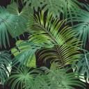 jungleplants.jpg